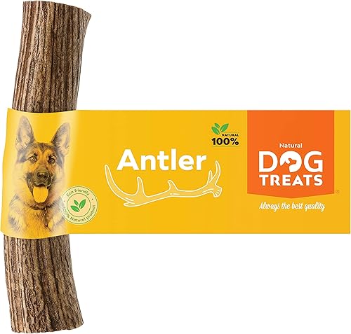 Miniatura 9 de GIGIL Treat You Pet Like a King  Cuernos partidos de ciervo 100% naturales para perros pequeños  Cuernos de alce premium  Juguete masticable de