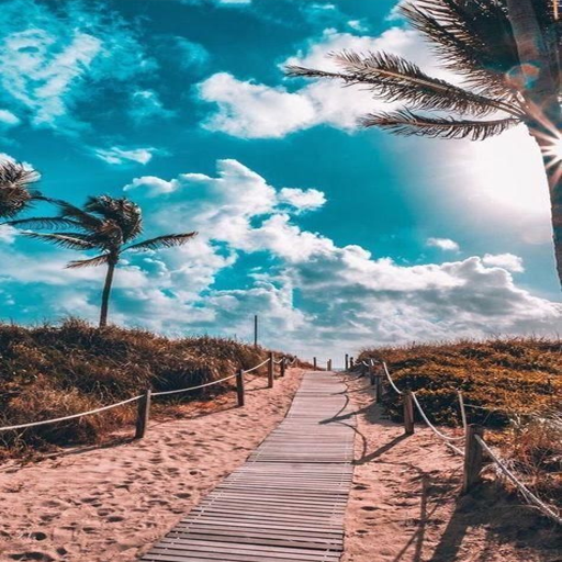 Summer HD Wallpaper App on Amazon Appstore