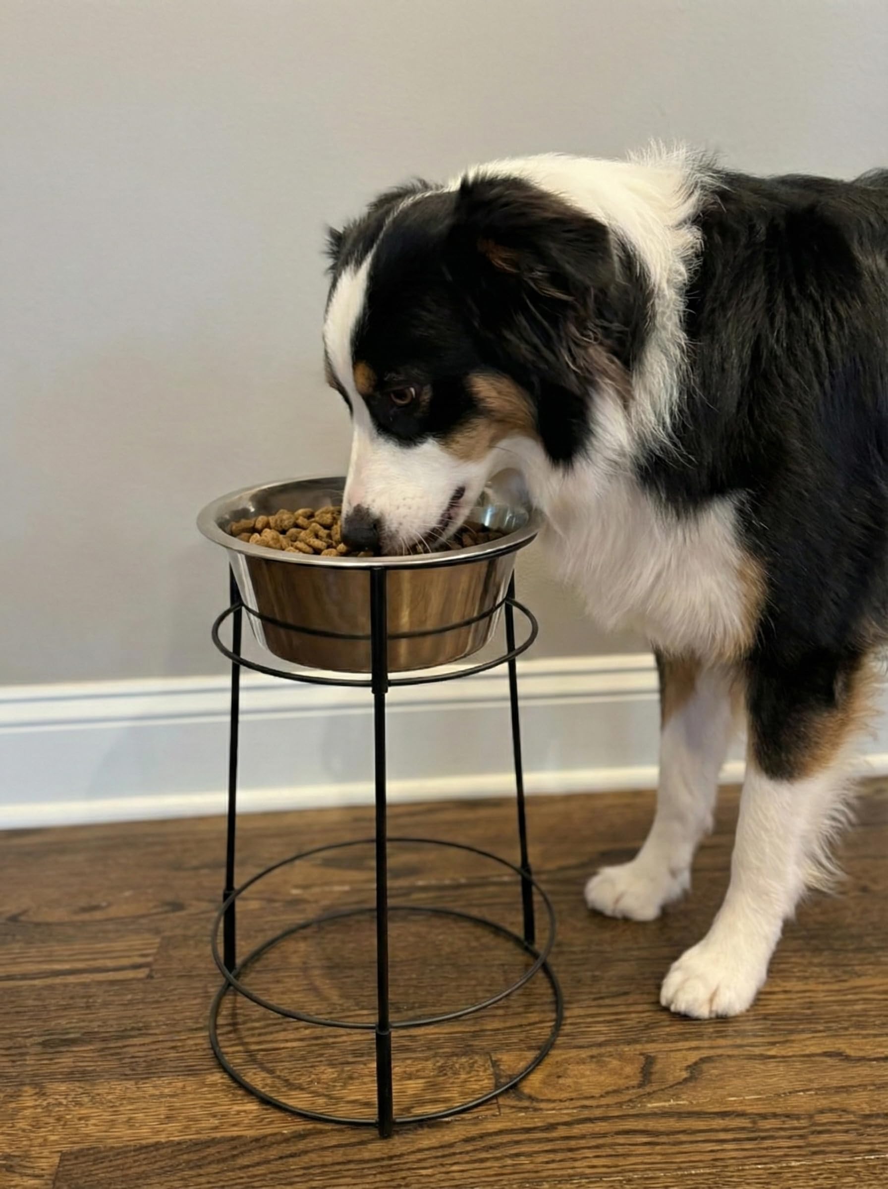 Hi-Rise Single Diner 2 QT thical Pet 5857E