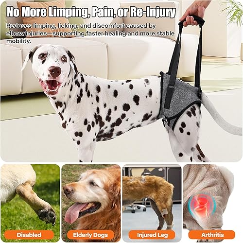 Miniatura 4 de Dog Sling for Medium Large Dog Rear Leg, Lift Harness Provide Support with Muscle Atrophy and Joint Problems for Elderly Injured Arthritic Pet, Dog
