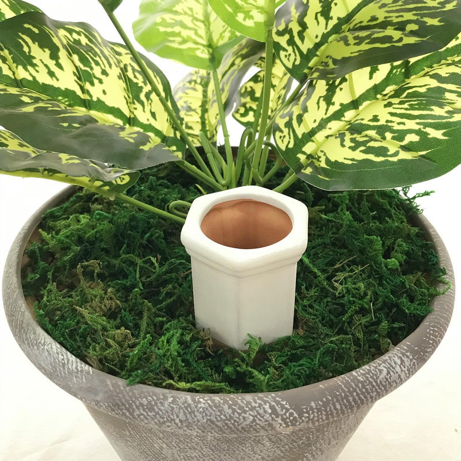 Autoinnaffianti di Irrigazione Verticale a Automatico | Autoirriganti Per Piante in Vaso da Interno ed Esterno, Appese e per Appassionati di