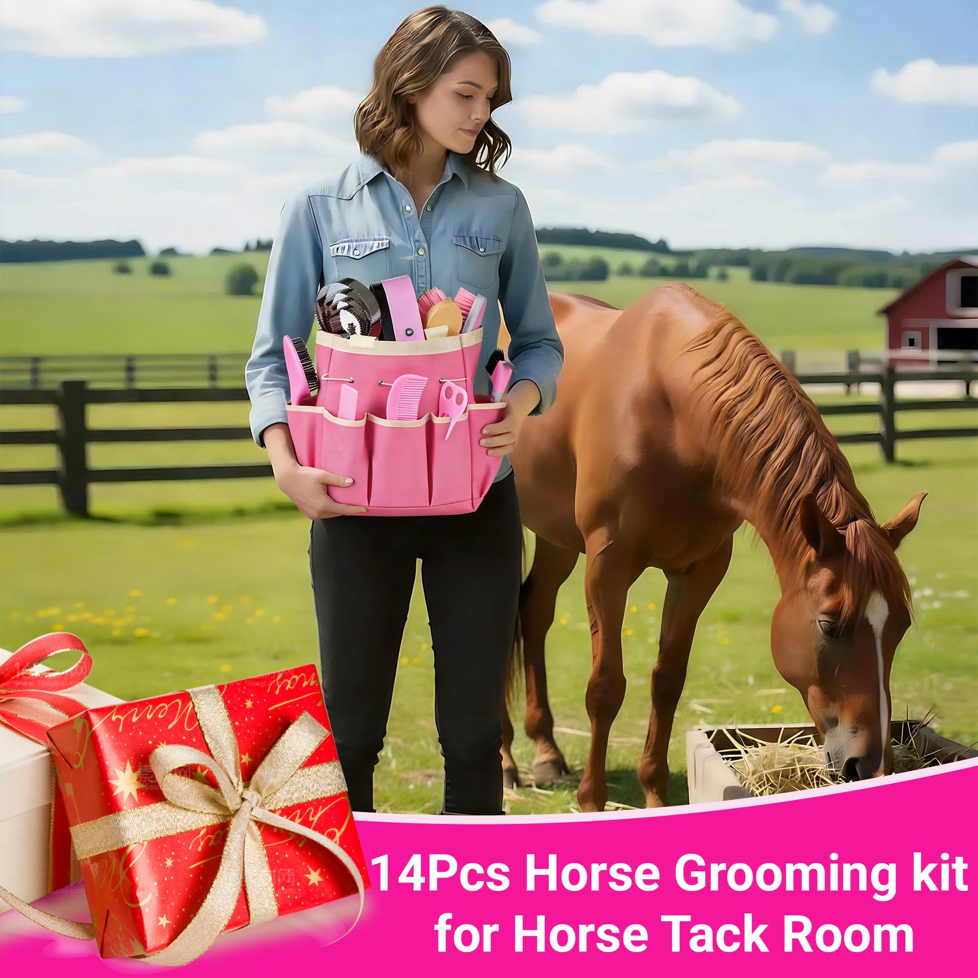 Kit de aseo de caballos, 14 en 1, juego de cepillos profesionales para aseo y cuidado, con cepillos de caballo, peine de curry, púa de pezuñas y bolsa de almacenamiento impermeable para brillar