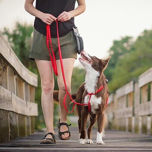 Miniatura 6 de Blue-9 Correa reflectante para perro, doble accesorio de correa ajustable de 6 pies con costuras reflectantes 3M para obediencia, correr y