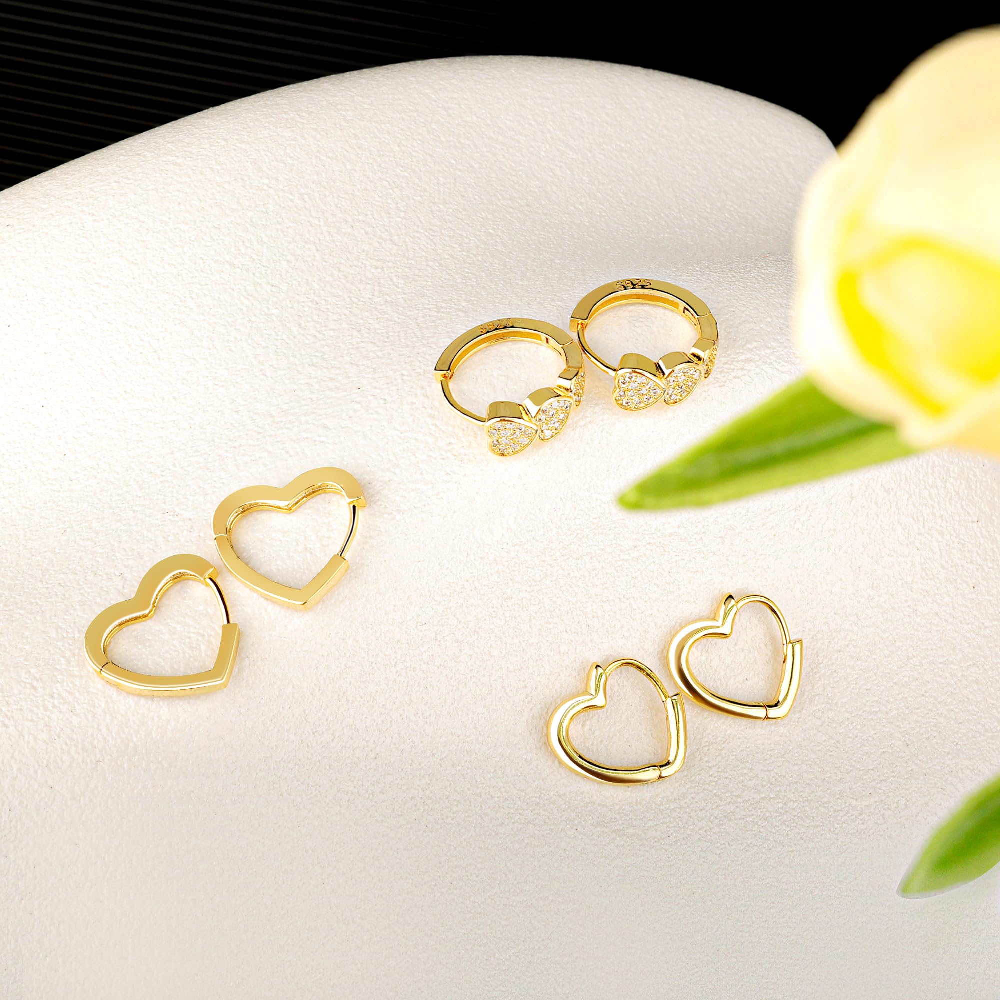 ALEXCRAFT Orecchini Cerchio Argento 925 in Oro 14K, Oro Orecchini Anallergici Donna, 3 Paia Orecchini Cerchio Piccoli con Confezione