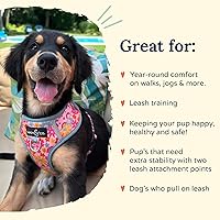 Vista 10 de Lucy & Co. Arnés para perro Midnight No-Pull – Talla M – Chaleco para dejar de tirar y caminar fácil – Cómodo producto de entrenamiento de correa