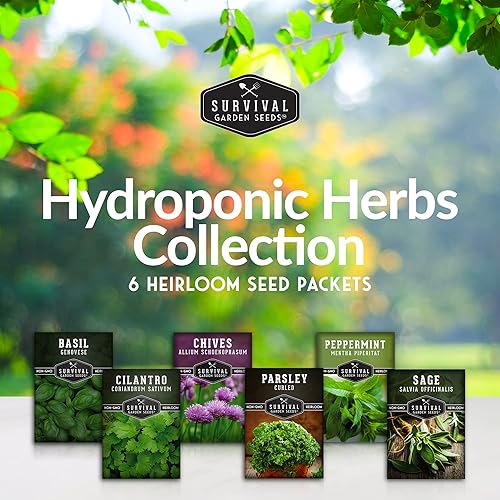 Miniatura 2 de Colección de semillas de hierbas hidropónicas para plantar perejil rizado salvia cebollino menta cilantro y hierbas genovesas para cualquier sistema