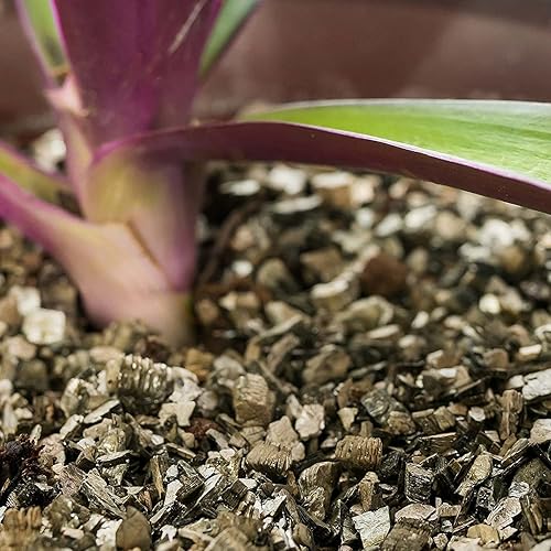 Miniatura 4 de Vermiculita orgánica hortícola (fabricada en Ucrania) - Grado medio - Aditivo natural para suelos para plantas en maceta, orquídeas, hidroponía,