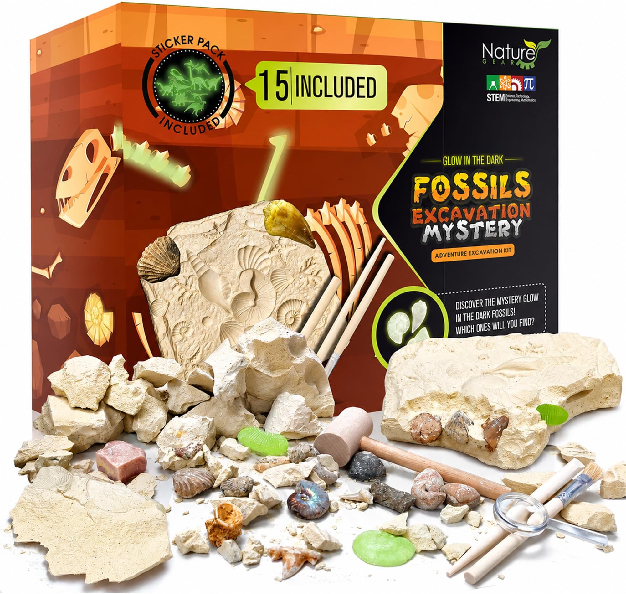 Dino Fossil Dig Kit for Kids, Educational Excavation Kit with 15 Glow in The Dark Mystery Fossils, Interactive Dinosaur Science Kits for Kids Age 3-5 and Up, Excavation Adventure Kit
