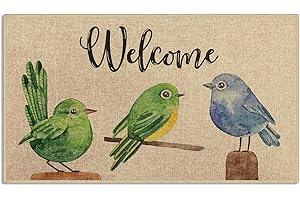 Three Birds Welcome Doormat: A Vibrant and Inviting Entrance to Your Abode
