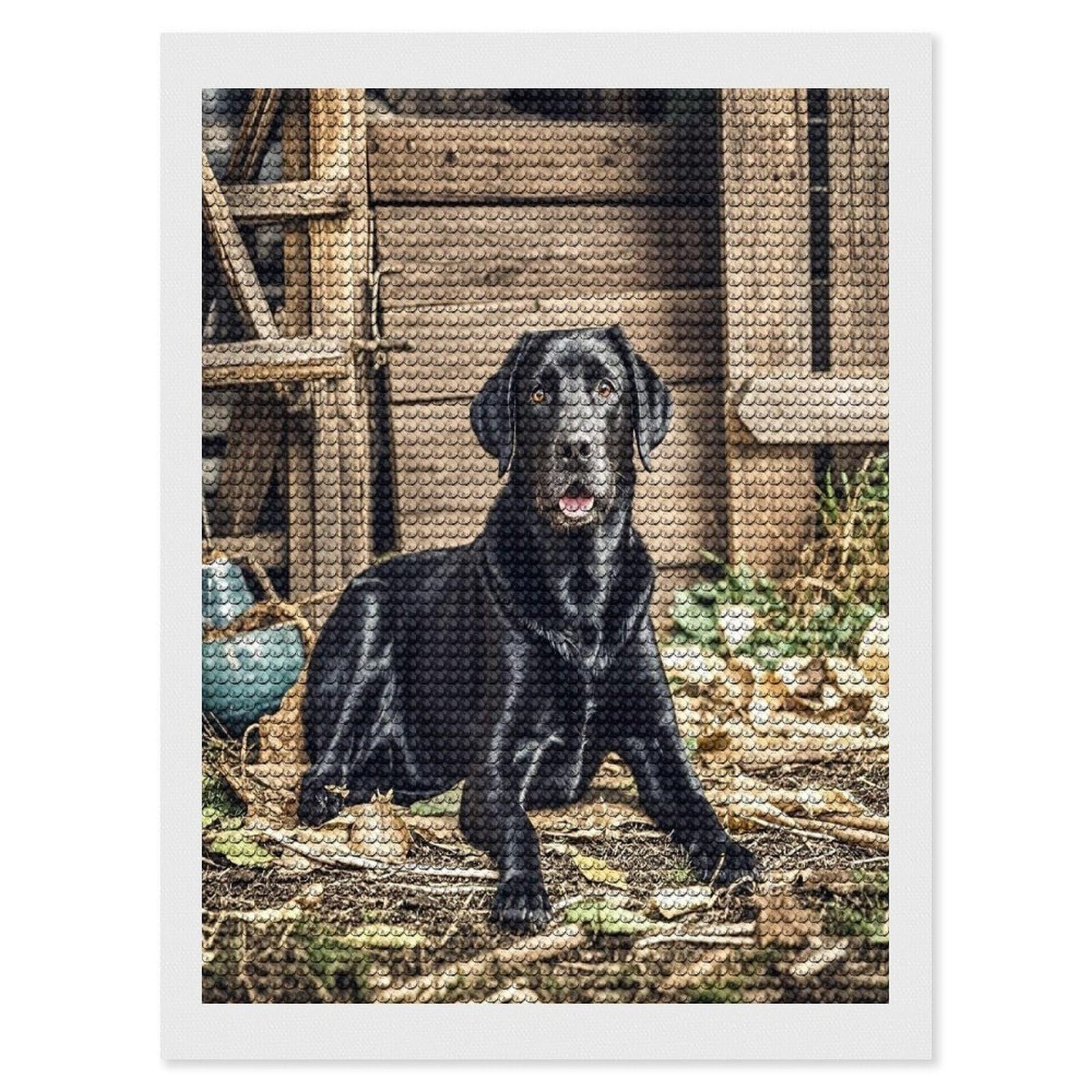 FekiLoot Black Labrador Diamond Painting Kits for Adults Full Round Drill Diamond Art Kits for Beginners 5D DIY Diamond Dots Paintings Diamonds Pictures Gem Art Home Wall Decor 12"x16"