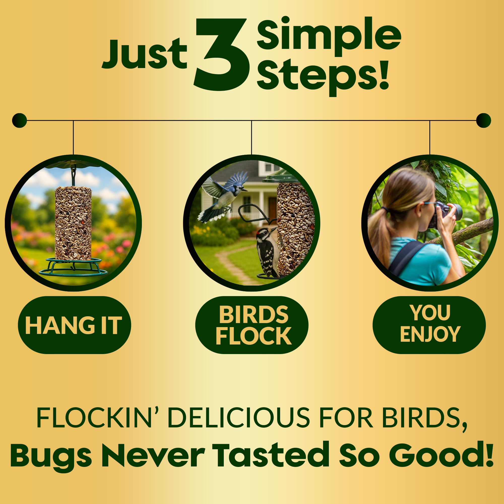 Cilindro de semillas de pájaros con agujero, frutos secos y bayas, alimento para pájaros carpinteros, Blue Jays, trepadores y más, mezcla natural rica en proteínas de alta calidad, sin rellenos