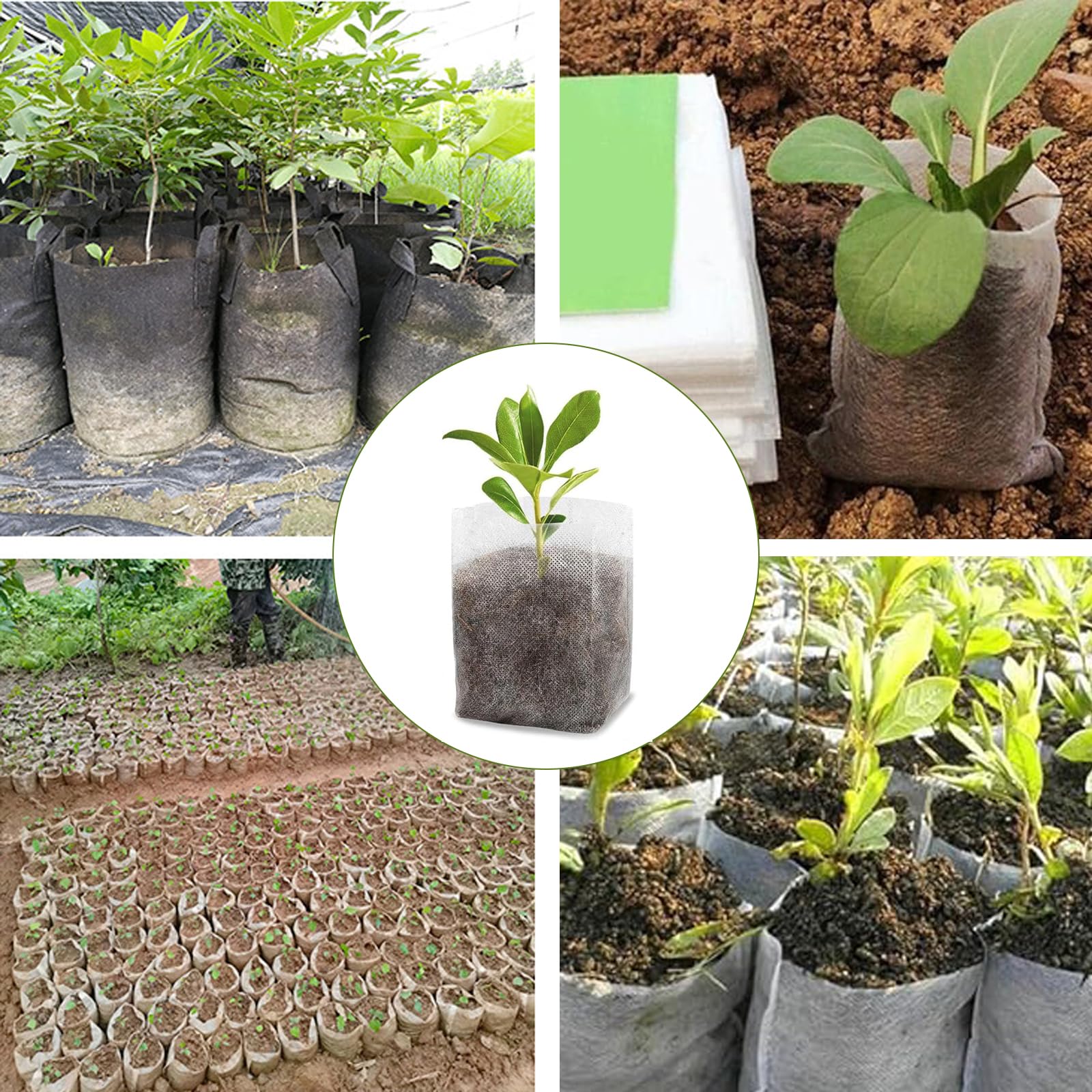 200 sacs semilleros biodégradables, Space Bolsas biodegradables no Tejidas para viveros, Bolsas de Vivero Biodegradables, para Plantas de Semillero Plantación Trasplante, 14 x 16 cm