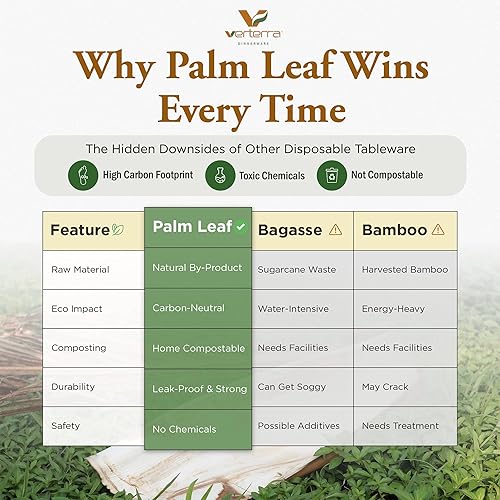 Miniatura 8 de VerTerra Plato cuadrado de hoja de palma de 7 pulgadas (paquete de 50)  cuadrado, premium, resistente, 100% compostable, ecológico, apto para