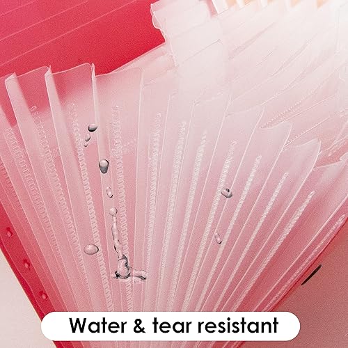 Miniatura 5 de BAZIC Products Carpeta de archivos expandible de 13 bolsillos, carpetas de archivos de plástico tamaño cupón con bolsillo con pestañas de color,