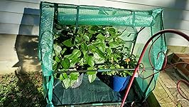 Review Image by Amazon Customer Amazon Customer