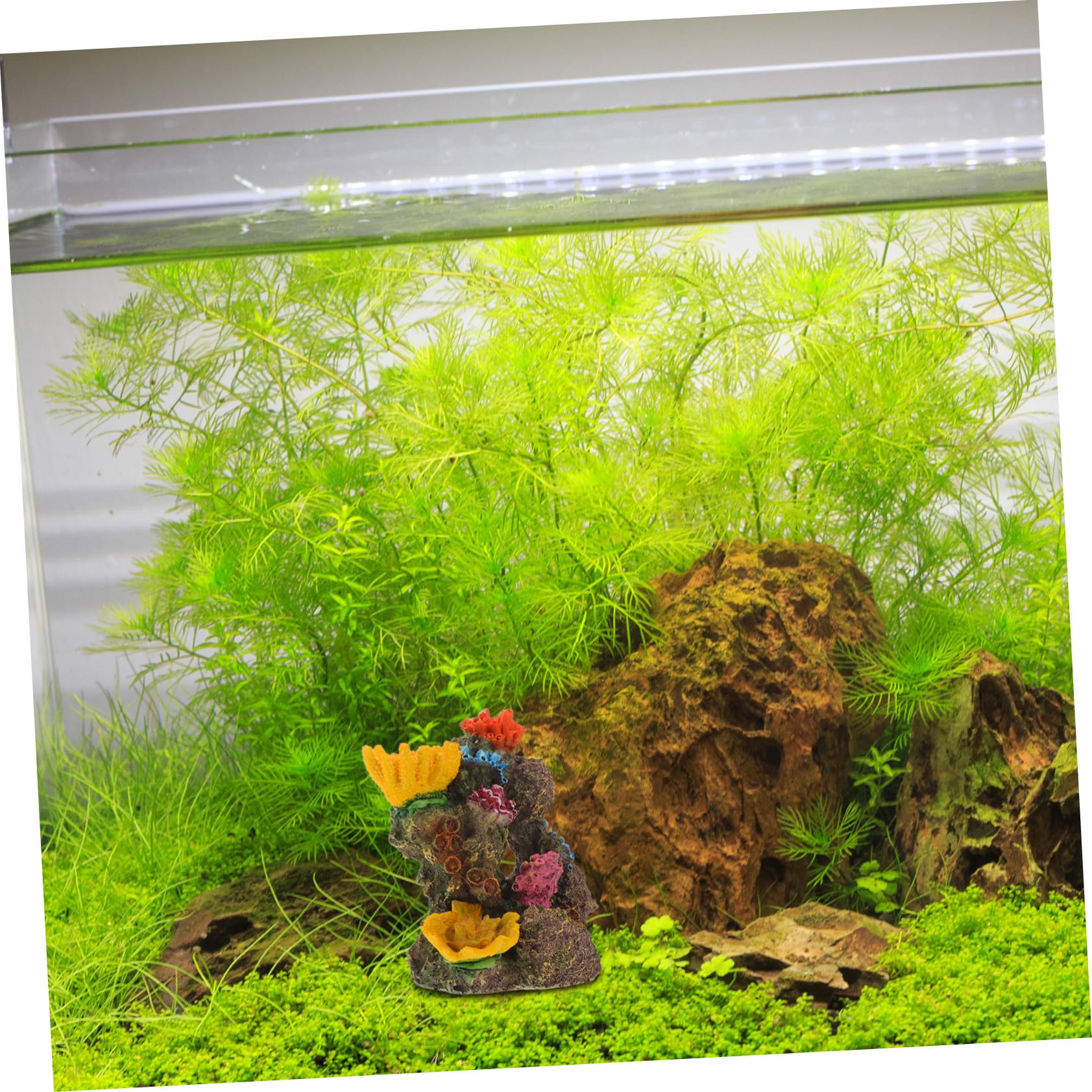 SEWACC Aquarium Deko Resin Korallenriff Höhle Fisch Aquarium Landschaftsornament mit Detailreicher Farbiger Korallenstruktur Versteckhaus für Kampffische zum Ausruhen Züchten