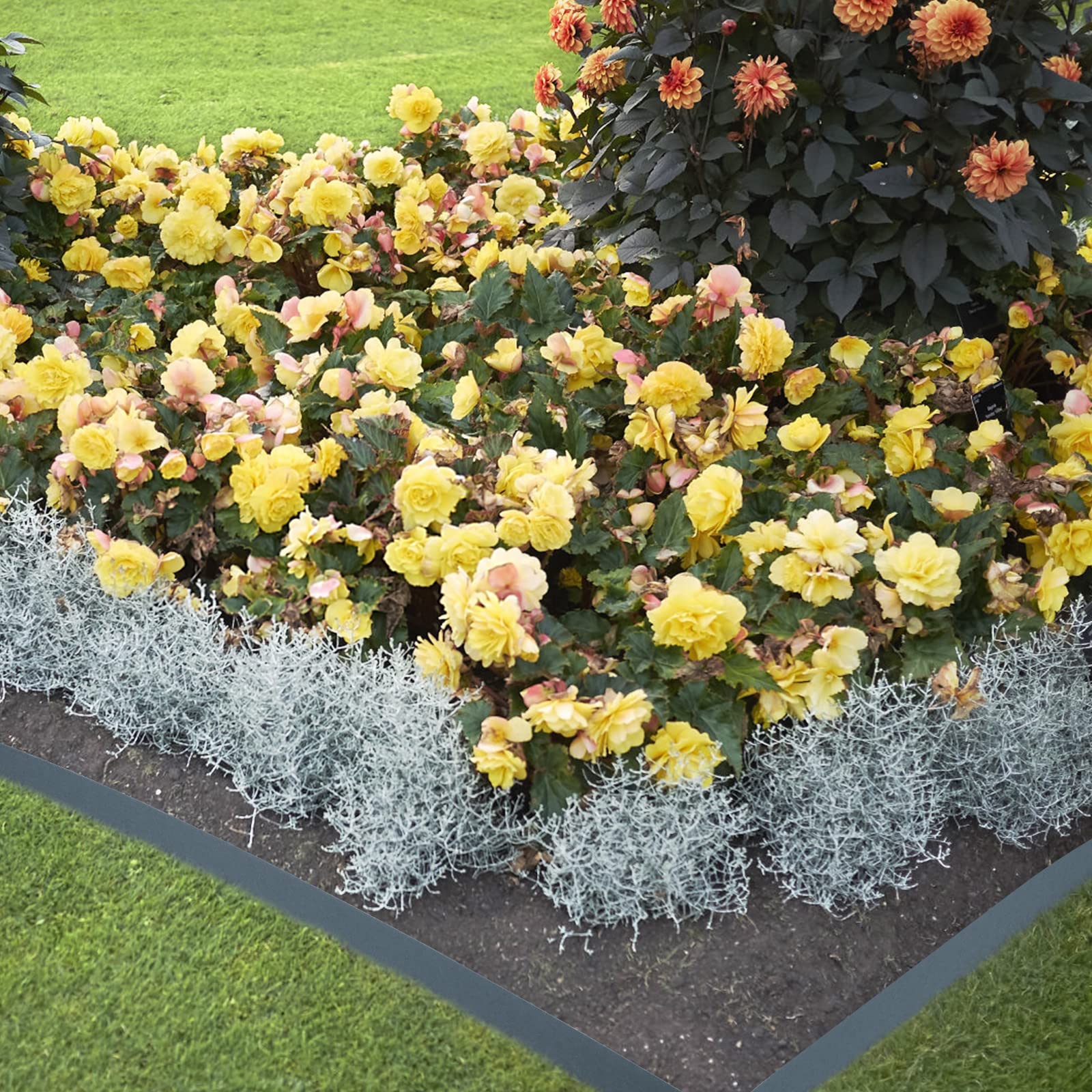 UISEBRT - Bordure de pelouse en plastique - 20 m - Rouleau de bordure de pelouse - Bordure de jardin - Bordure décorative pour le jardin - Anthracite