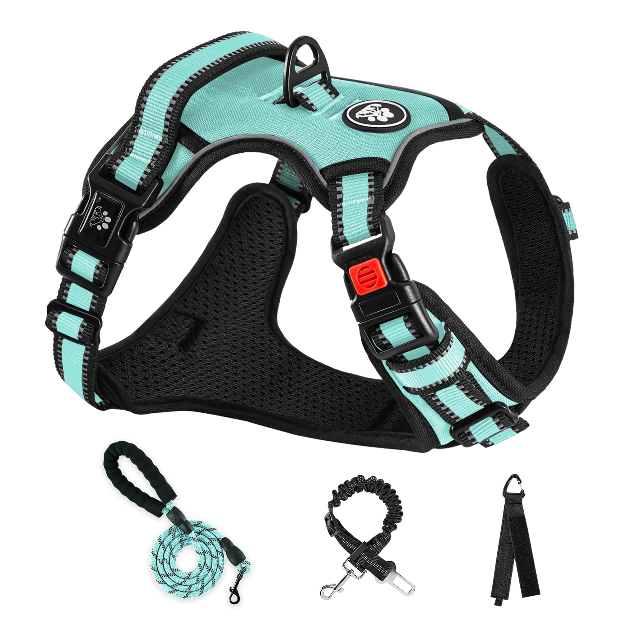 NESTROAD No Pull Dog Harness,Adjustable Oxford Dog Vest Harness with Leash,Reflective No-Choke Pet Harness with Easy Control Soft Handle for Large Dogs(Large,Turquoise)
