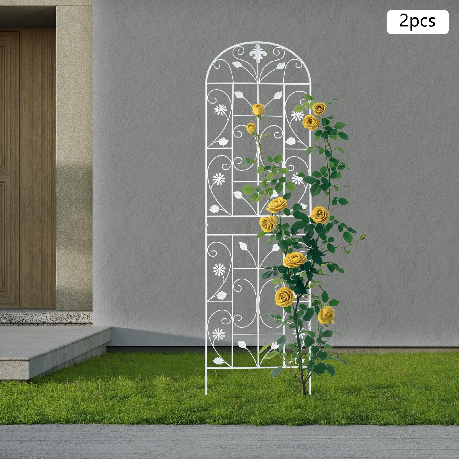 Lot de 2 treillis pour plantes grimpantes - En fer - Pour plantes grimpantes - Décoration extérieure - 180 x 50 cm