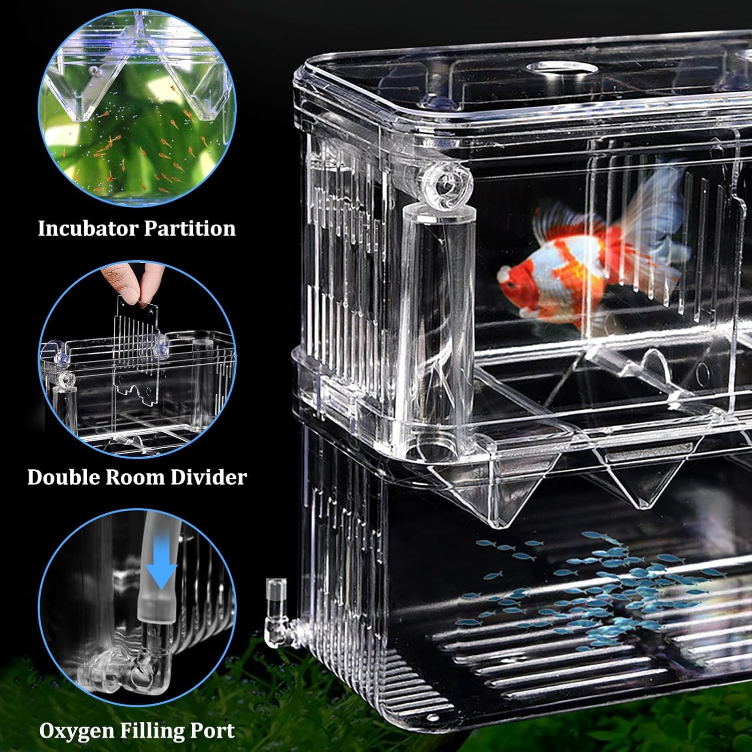 Aquarium Breeding Box for Fish Tank Aquarium Hatchery Incubator Tank with Suction Cups - Image 3