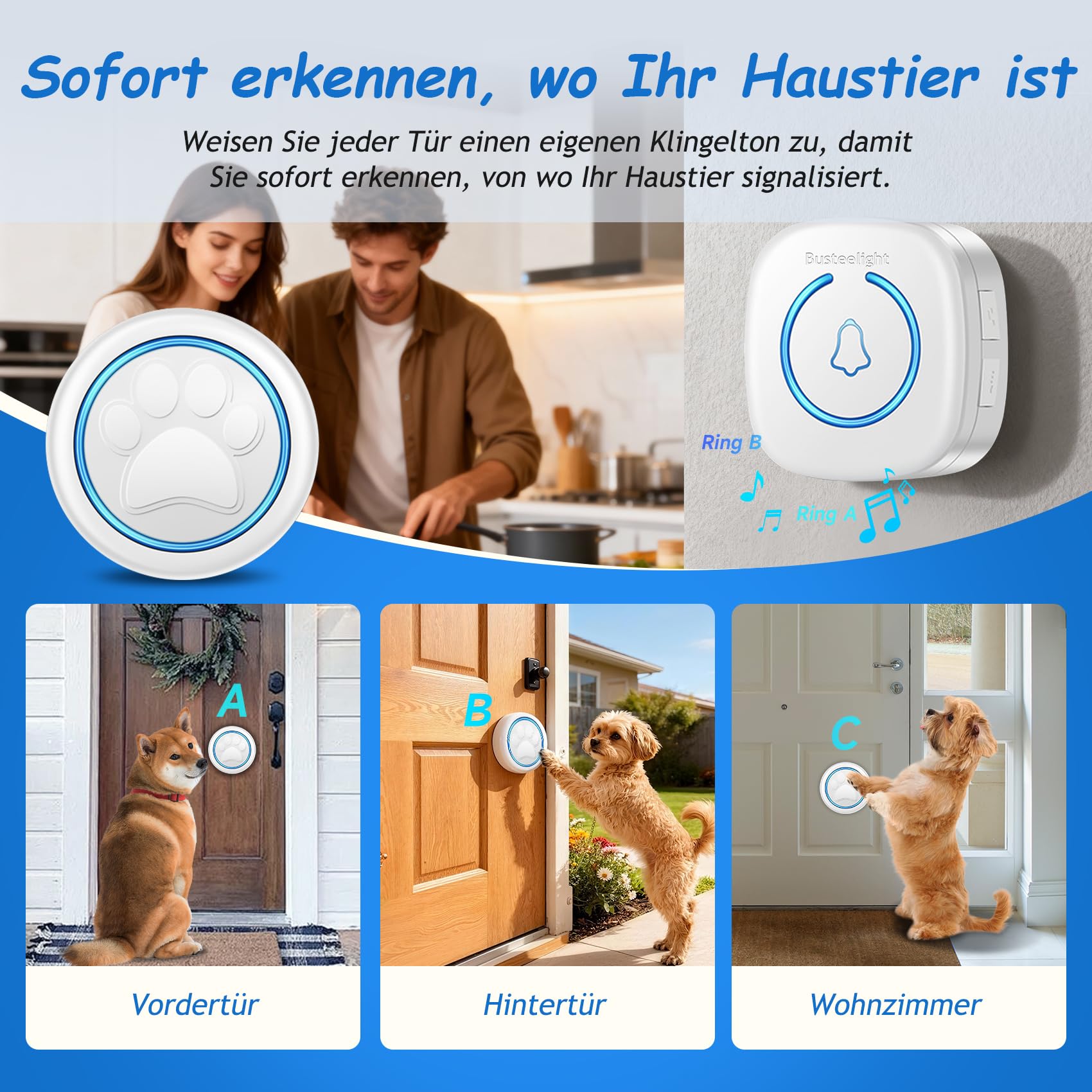 A6 Wht Katzenklingel & Hundeklingel – Kabellose Haustier-Türklingel für Außenbereich, 300 m Reichweite, 60 Melodien, LED-Signal, Wasserdicht, Buzzer Hund & Katzen (1 Klingeltaster + 1 Empfänger)