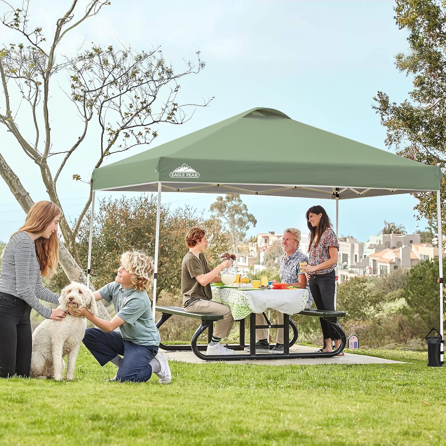 EAGLE PEAK Pop Up Canopy Tent with Wheeled Carry Bag, 8 Stakes, 4 Ropes, 4 Weight Bags, Easy Set Up Tent Canopy, 10x10 ft, 100sqft of Shade, Sage Green