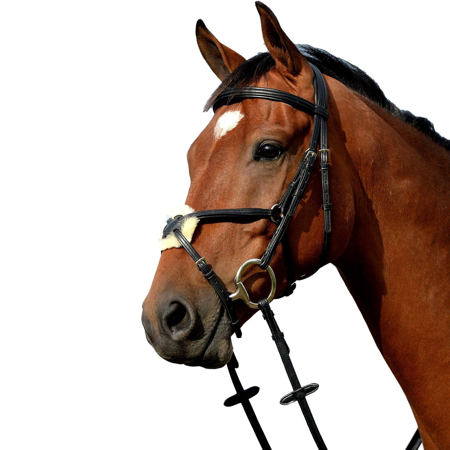 Collegiate Syntovia+ Padded Raised Figure 8 Bridle, Brown, Warmblood