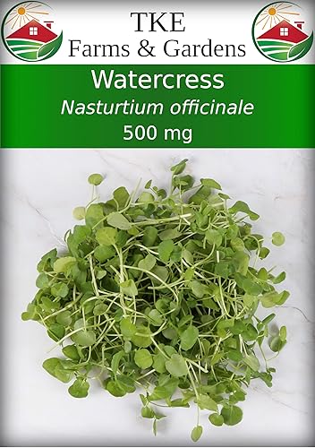 TKE Farms & Gardens Semillas de berros para plantar, 500 mg, 1500 semillas de reliquia, sin OMG, paquete incluye instrucciones para cultivar,