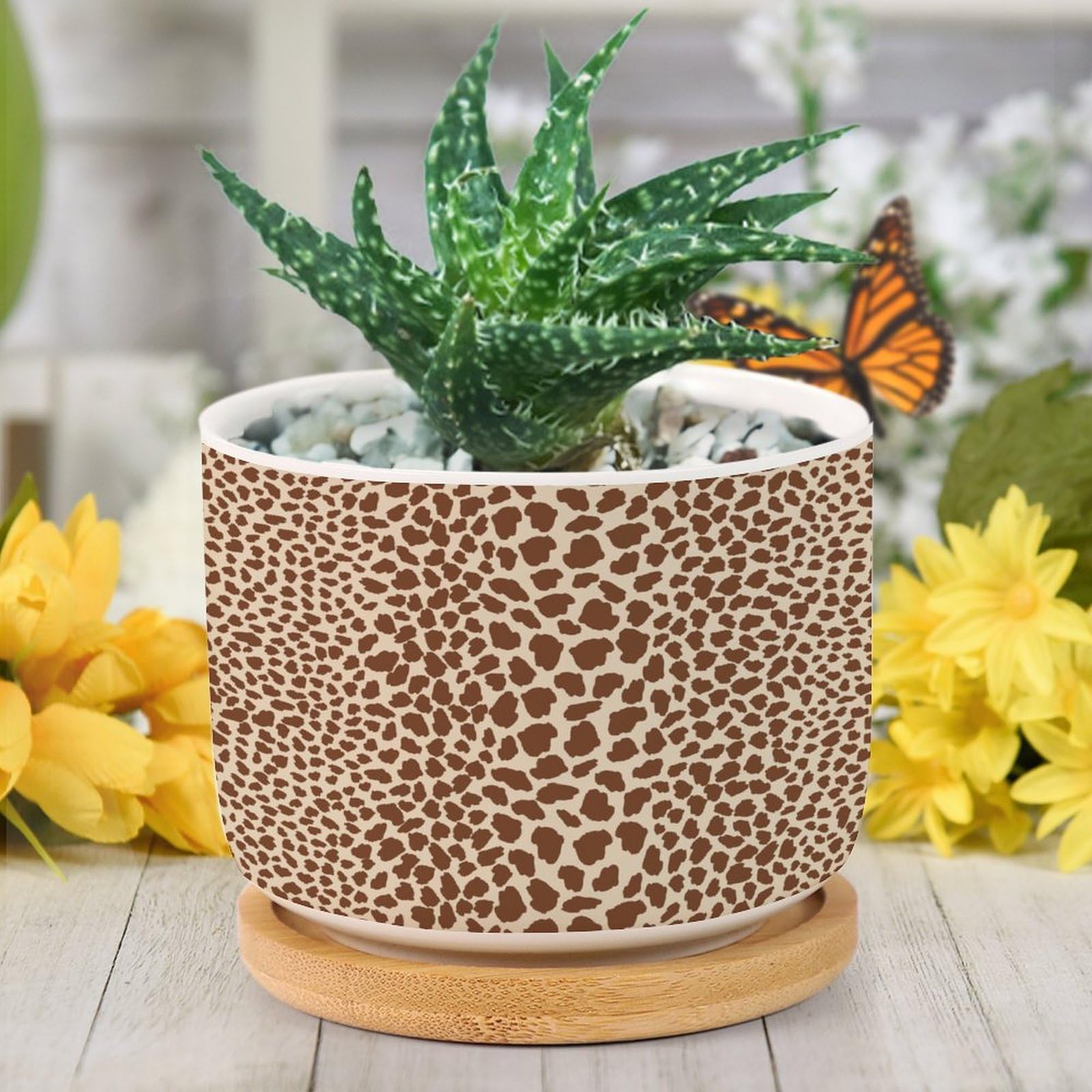 Amazon.com: DreamAutumn Brown Cheetah Leopard Print Animal Ceramic
