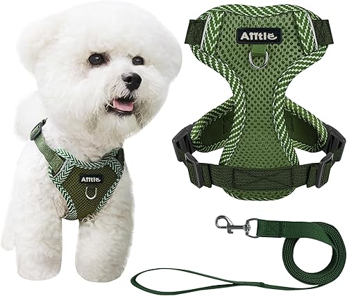 AIITLE Arnés para perros pequeños sin tirones - Arnés de chaleco ajustable con correa - Banda reflectante de área grande, suministros suaves y