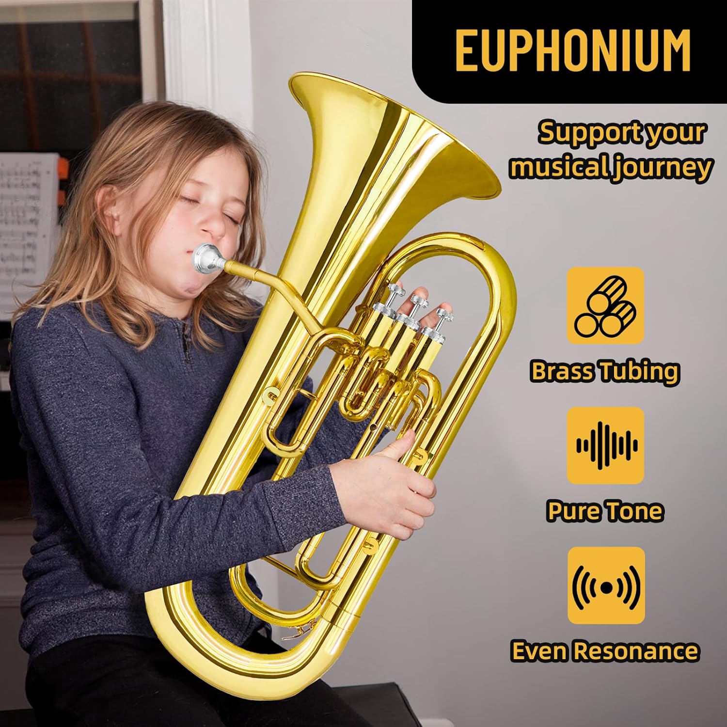 Bb Euphonium for Beginners & Pros - Premium Brass Instrument with Hard Case, Mouthpiece, Cleaning Kit & Gloves. Ideal for Brass Band, Solo & Ensemble. Superior Sound & Durability