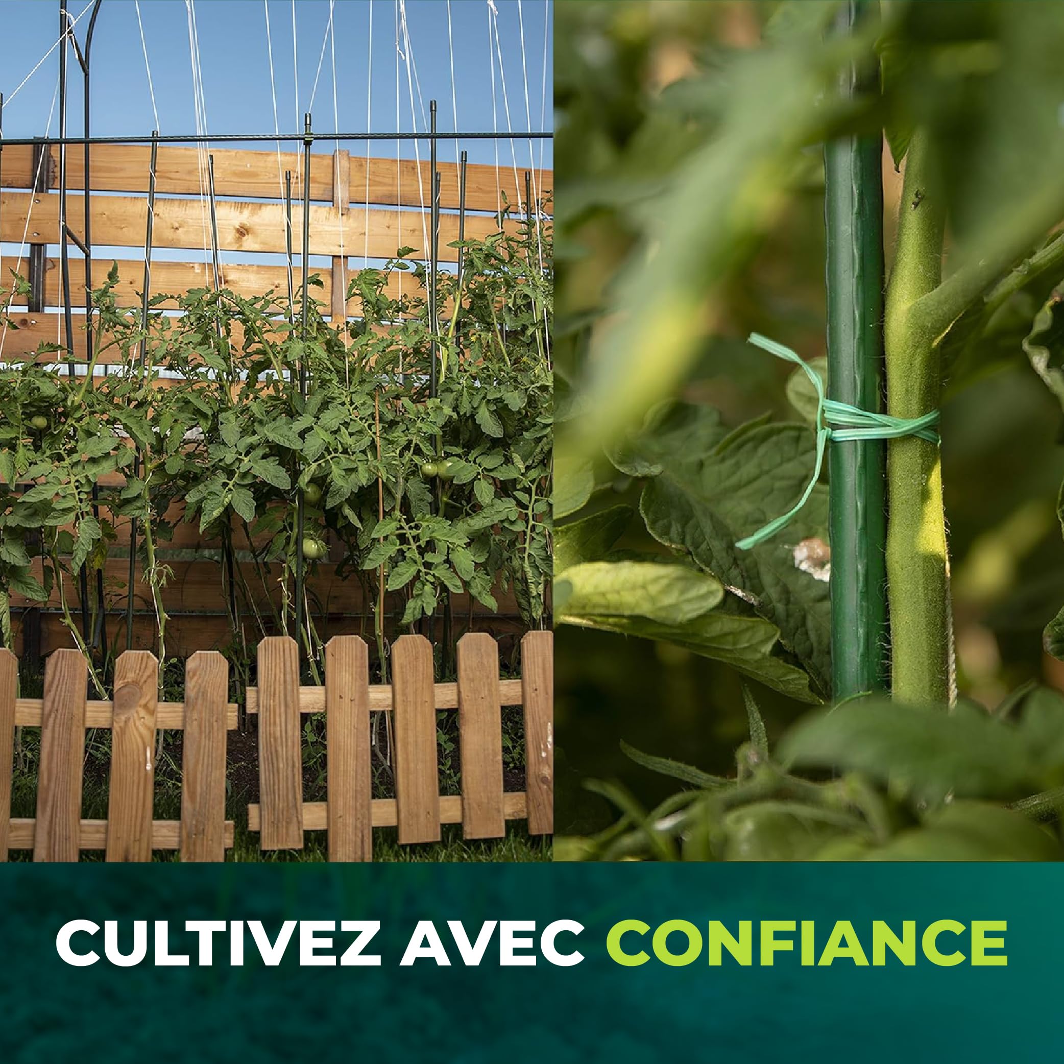 CONTROL GARDEN Lot 30 Tuteurs en Acier Plastifié pour Plantes Hauteur 180 cm Ø 10 mm | Tiges de Soutien | Support de Culture Adapté Intérieur et Extérieur