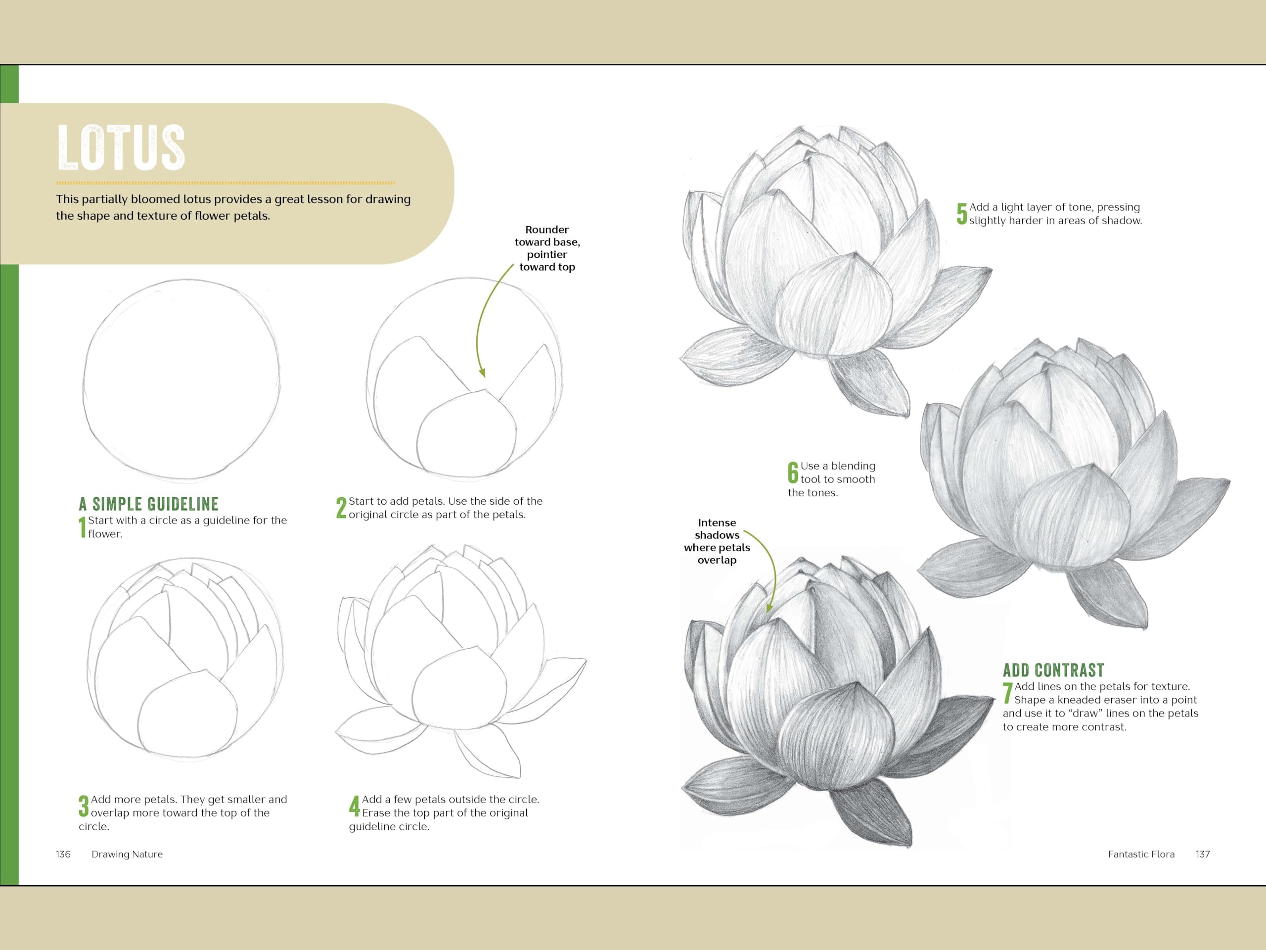Drawing Nature: The Quick and Easy Way to Draw Animals, Plants, and More (The 15 Minute Artist)