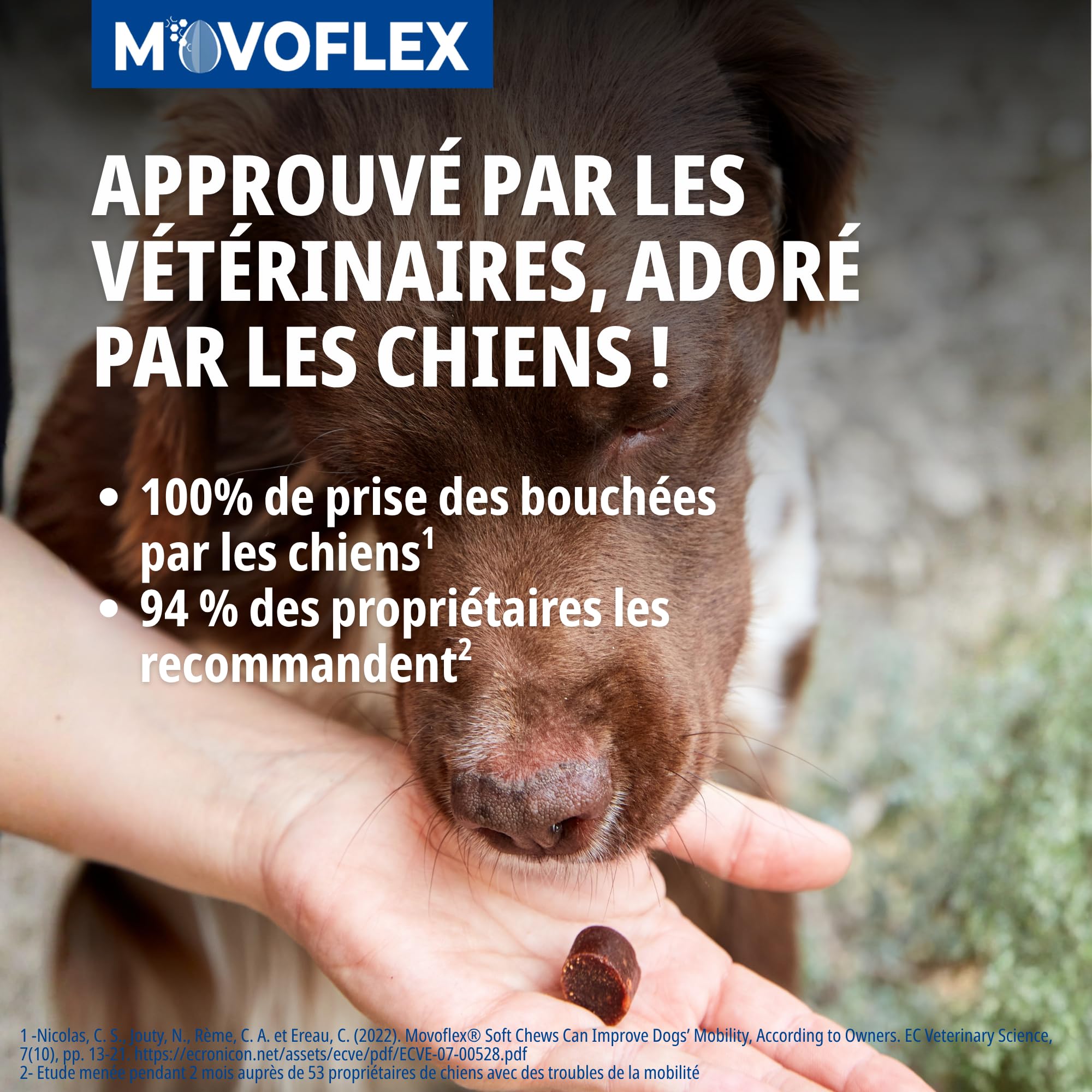 Virbac Movoflex Chien S Aliment complémentaire pour Le Soutien des articulations et de la mobilité – Petits Chiens de Moins de 15 kg – Boîte de 30 bouchées