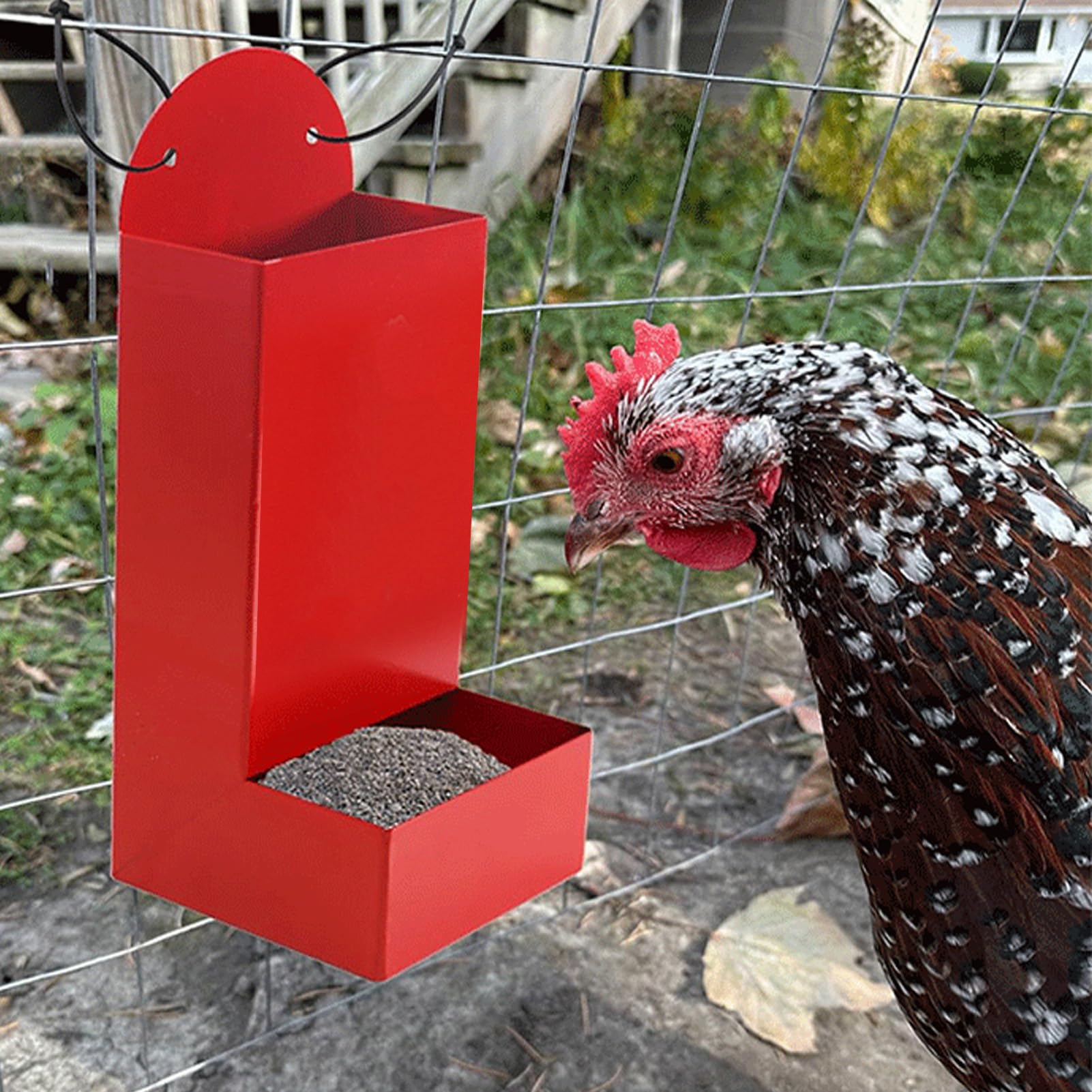 Set mangiatoia per polli Hapvida, Contenitore per pollame in Acciaio al Carbonio per Accessori per pollaio, Guscio di ostriche e mangiatoia per Galline