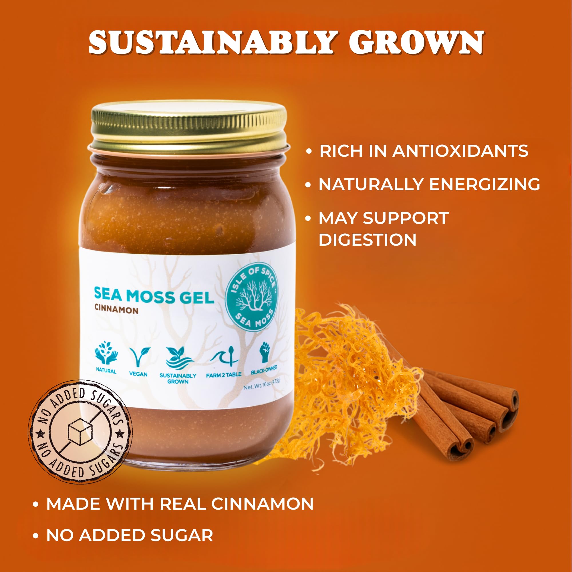 Isle of Spice Sea Moss Gel – Sustainably Grown Caribbean Sea Moss, Natural & Flavored Varieties (16 fl oz, Cinnamon Infused)