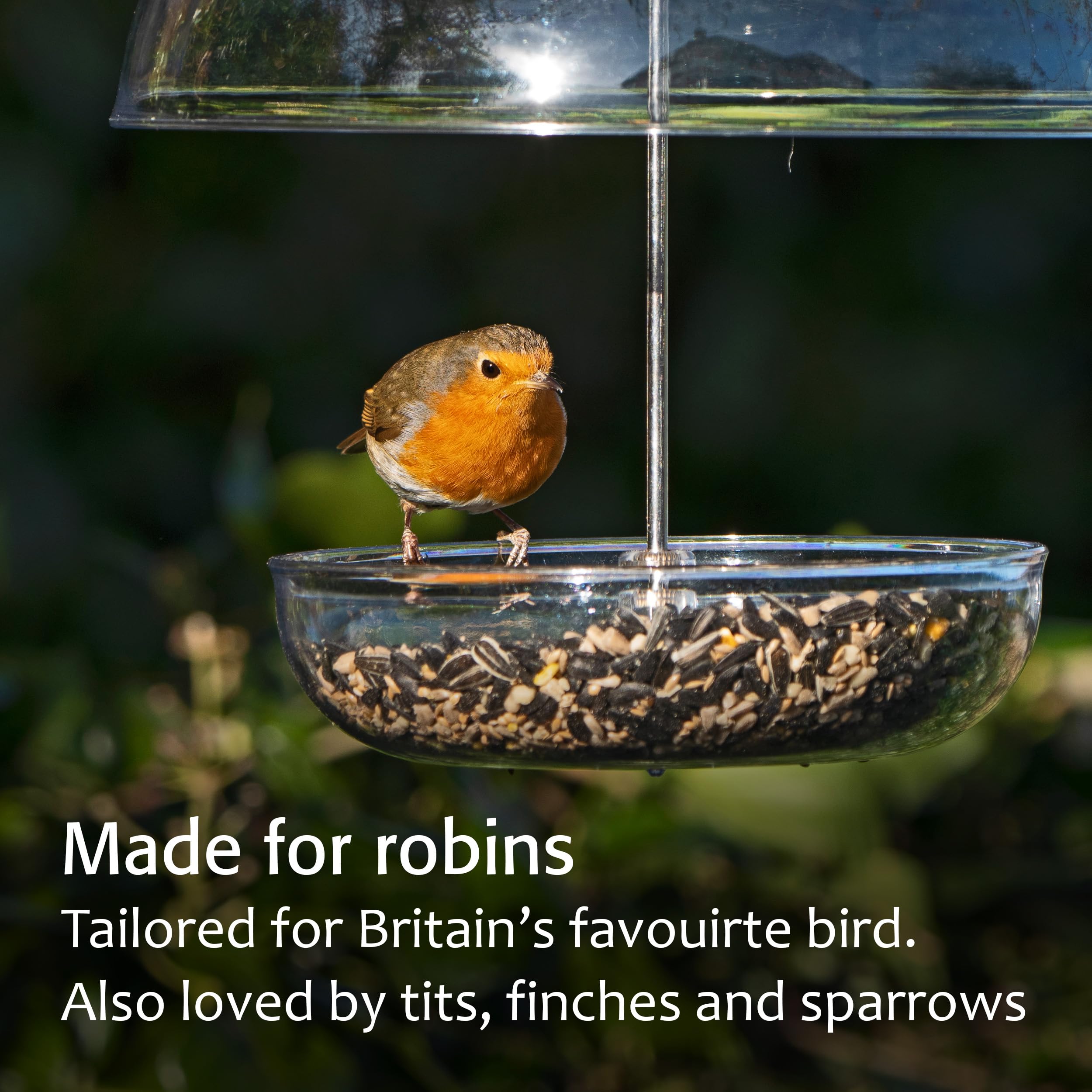 Jacobi Jayne I Love Robins Mangiatoia per uccelli con cibo per pettirossi – Mangiatoia trasparente da appendere – perfetta per miscele di semi e vermi della farina.