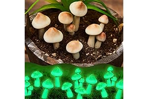 Taiyin Glow-in-the-Dark Mushroom String Lights