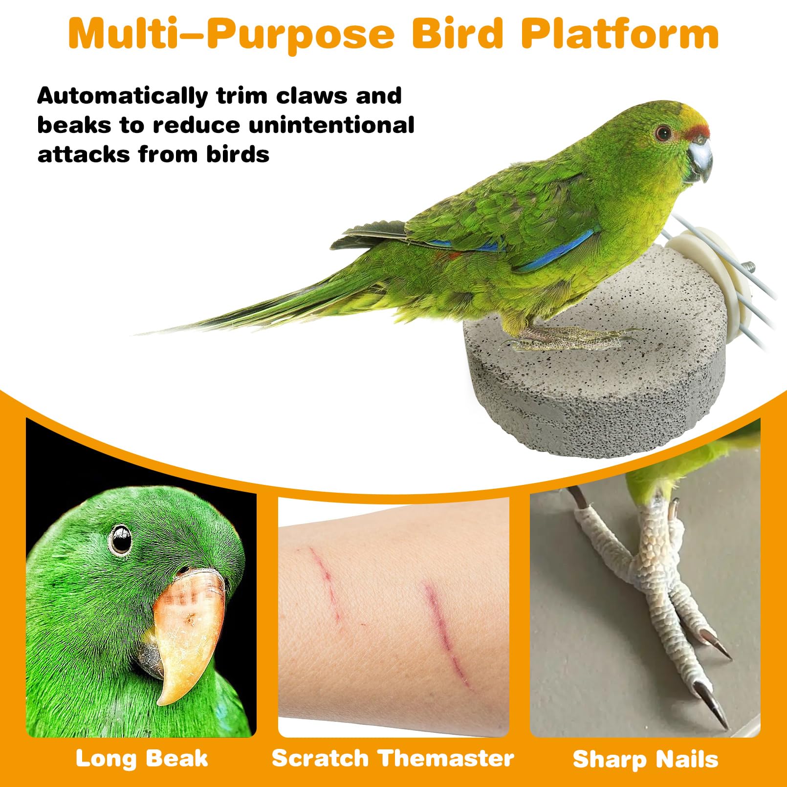 PINVNBY 4 PCS Bird Perches Calcium Parrot Perch Stand Bird Beak Grinding Stone Foot Claws Trimmer Parrot Chewing Toys Bird Cage Accessories for Budgie Cockatiel Conure Lovebird Finch - image 5