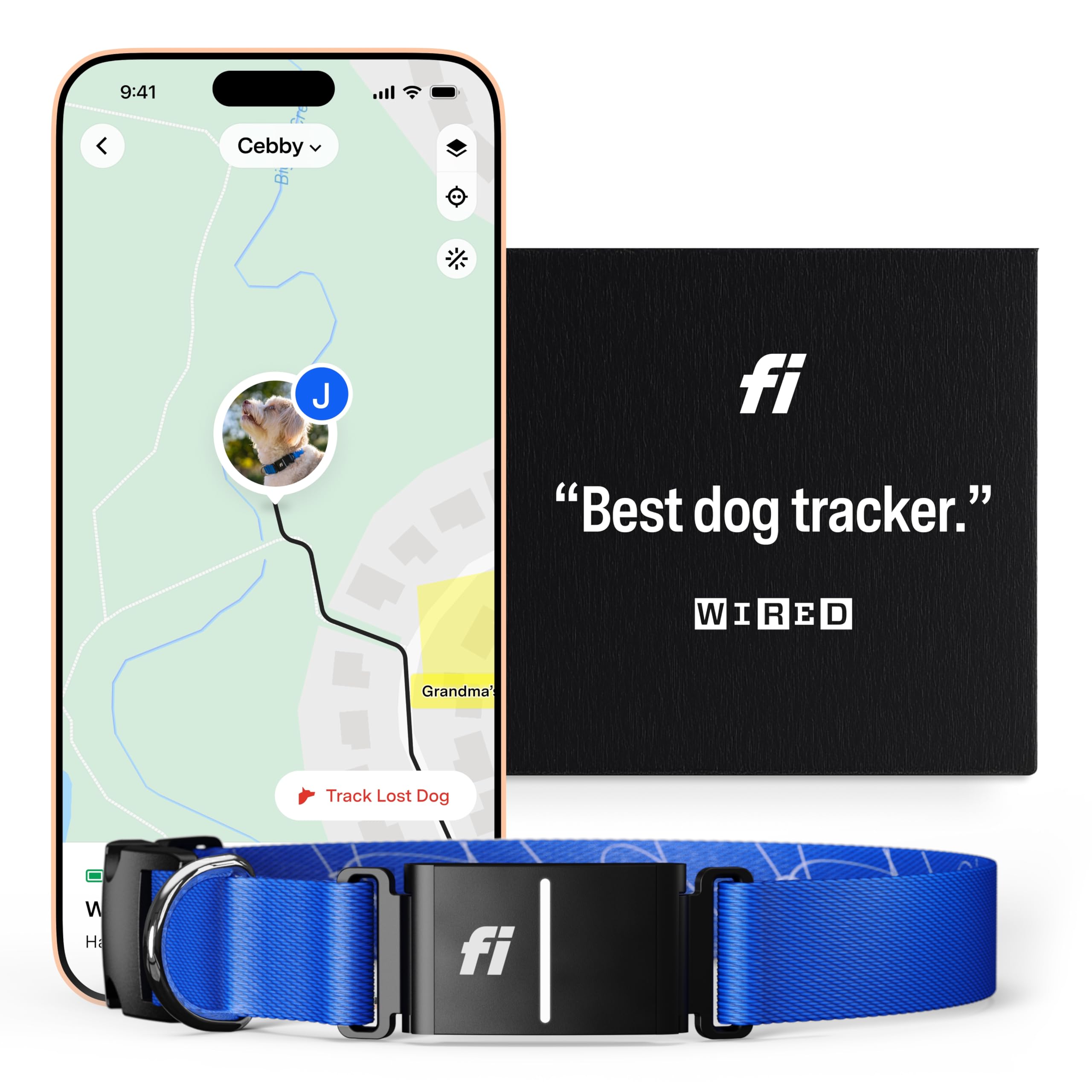 Fi Series 3 Smart Dog Collar - GPS Dog Tracker and Activity Fitness Monitor, Waterproof, LED Light, Escape Alerts, Nationwide Coverage [Free 6 Month Membership] (Blue, Large)
