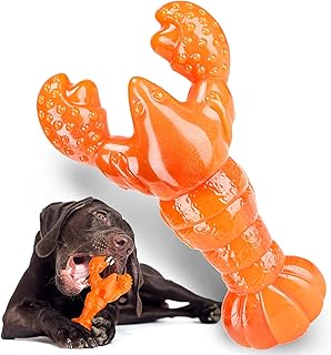 Indestructible Dog Toys for Aggressive Chewers Tough Dog Toys for Large Dogs Nylon Toys for Big Dogs Durable Dog Chew Toys for Teething Heavy Duty Dog Bones for Large Breed