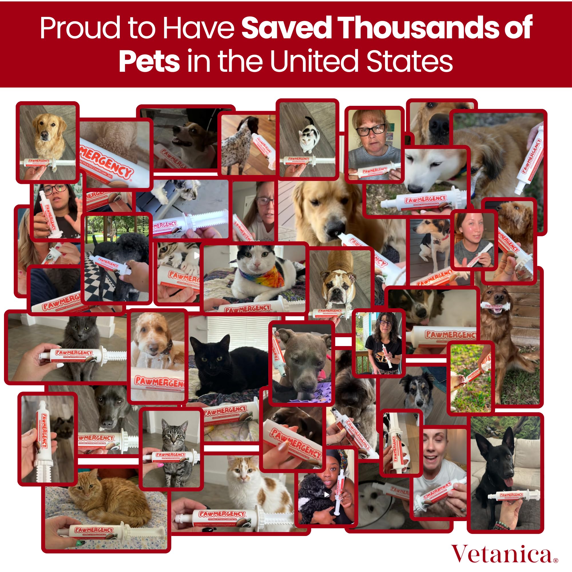 PawMergency – Activated Charcoal First Aid Kit Emergency Rescue for Dogs, Cats, Puppy & Pet Poison Kit, Camping Survival Remedy Essential,Oral Anti Diarrhea Digestive Paste Ready Absorb Toxins - image 4