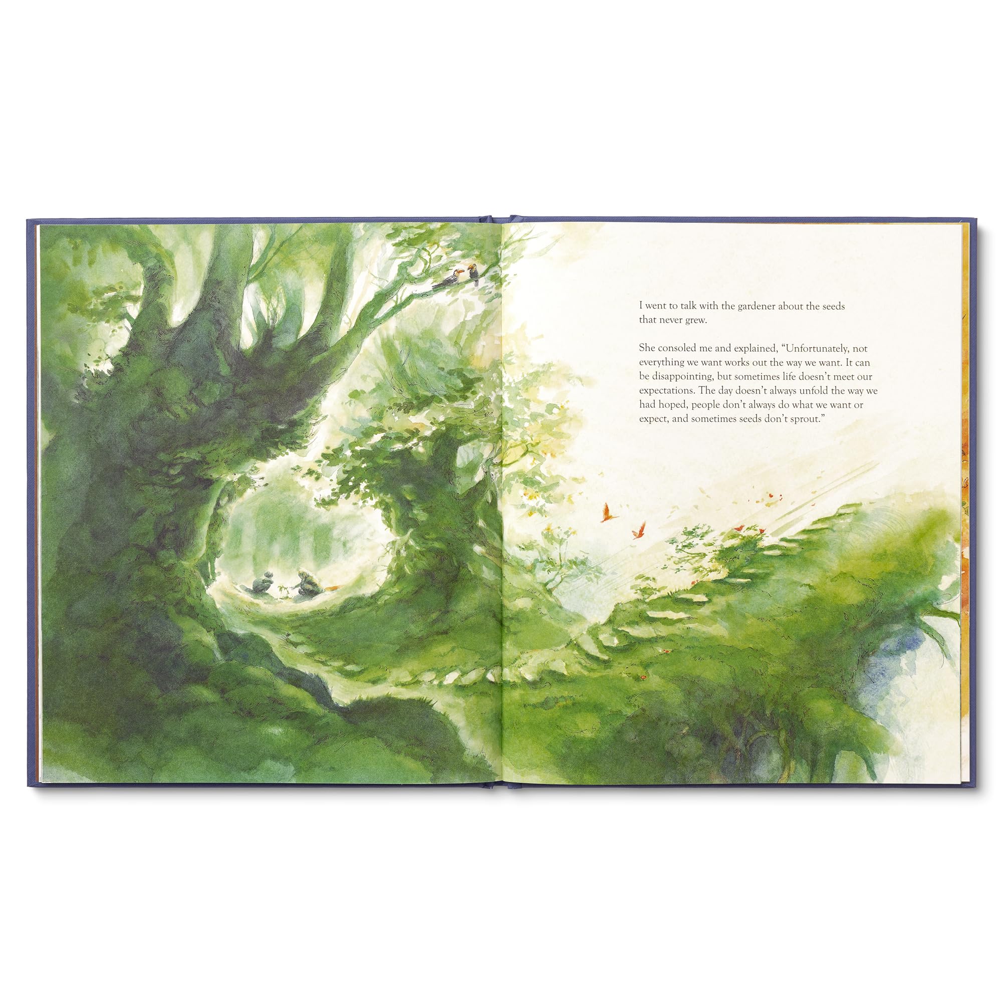 Amazon.com: Compendium: Children's Books