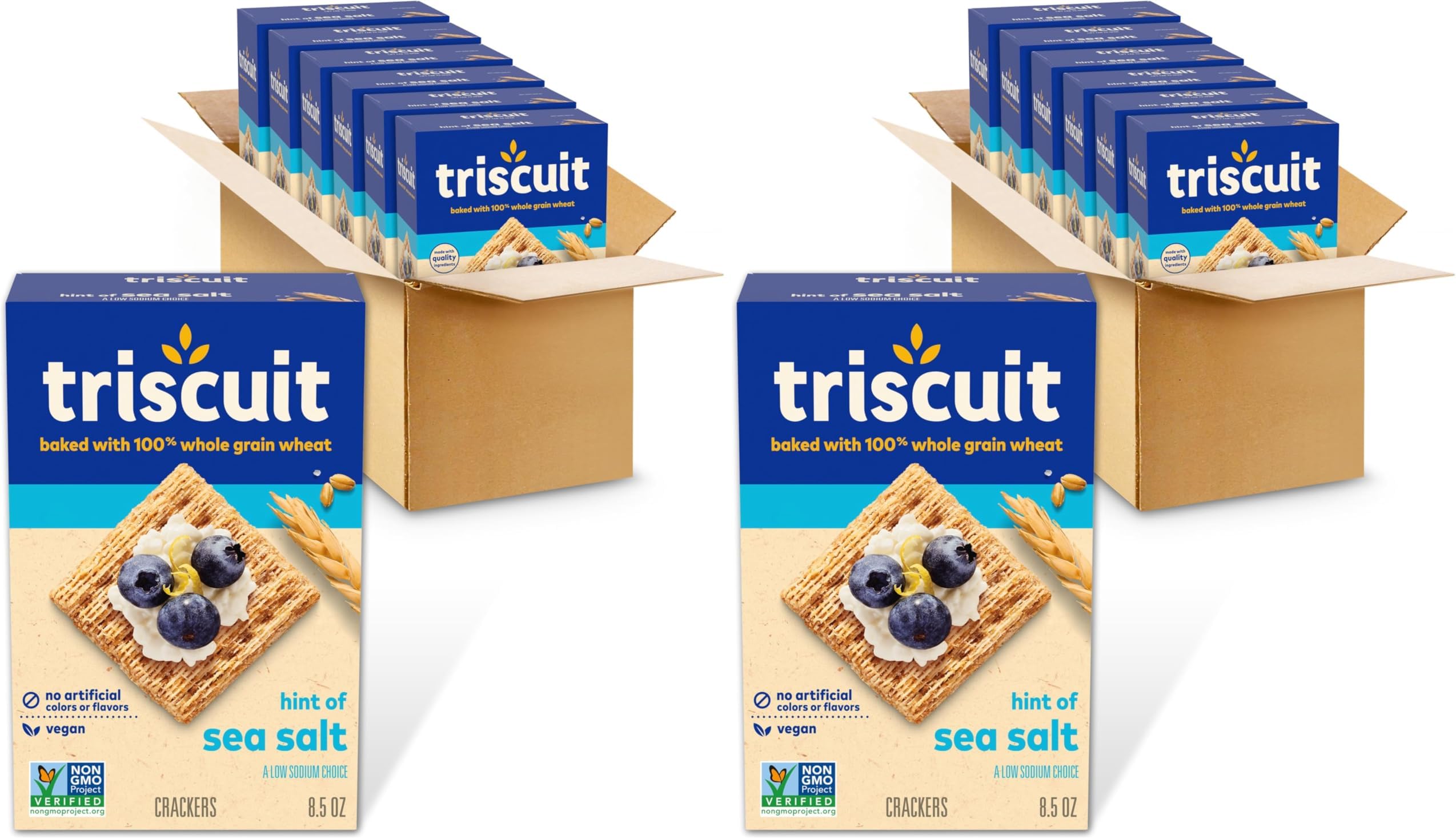 Hint of Sea Salt Whole Grain Wheat Crackers, Vegan Crackers, 6-8.5 oz Boxes (Pack of 2)