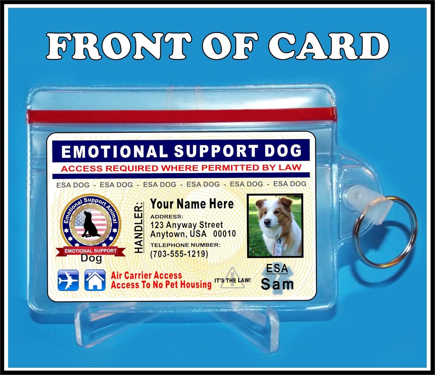 Innovative ID Cards Emotional Support DOG Identification Card - Custom with your Info and Dogs Photo - HOLOGRAPHIC - ESA TAG