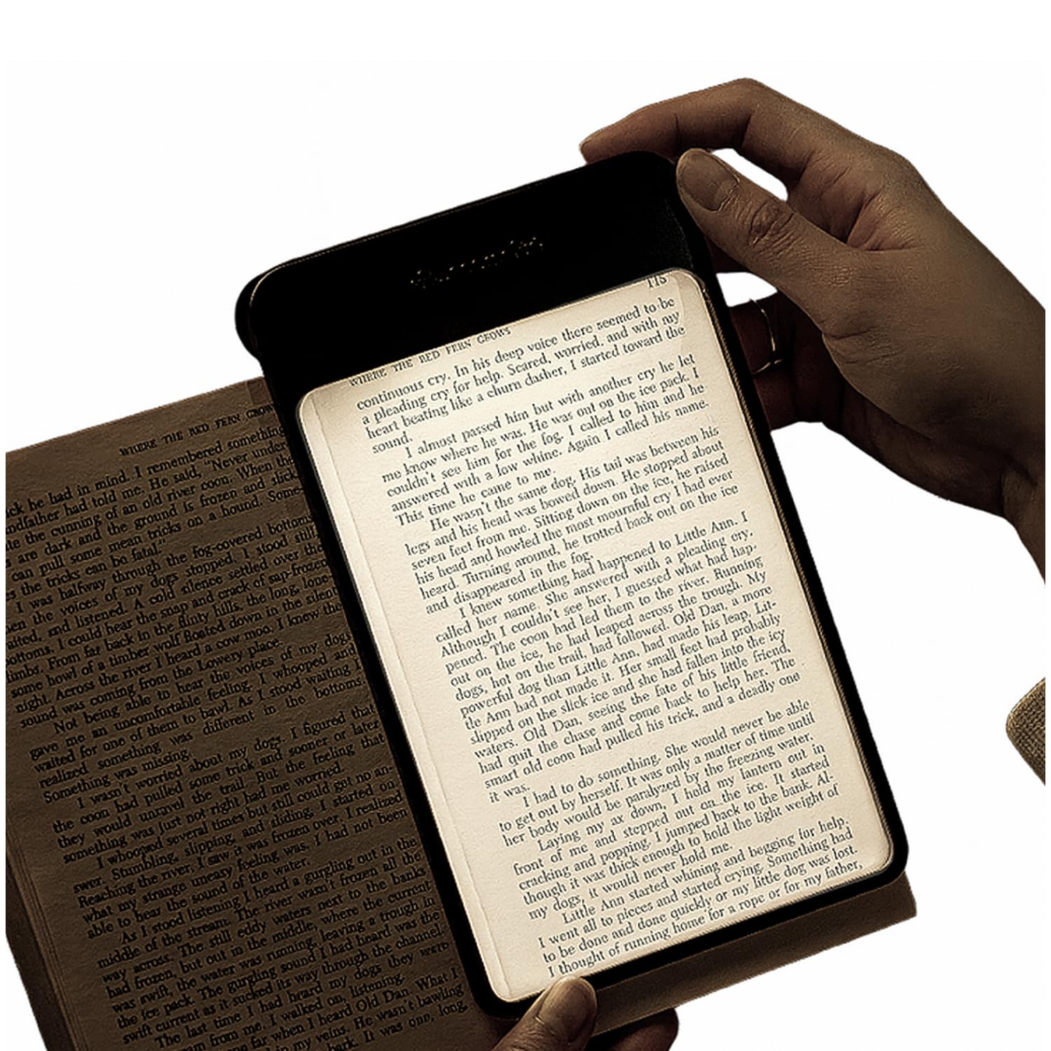 Lampe de lecture LED, rechargeable par USB, ton chaud et froid, lampe portable sans fil pour lire l'heure du coucher (LED froide)