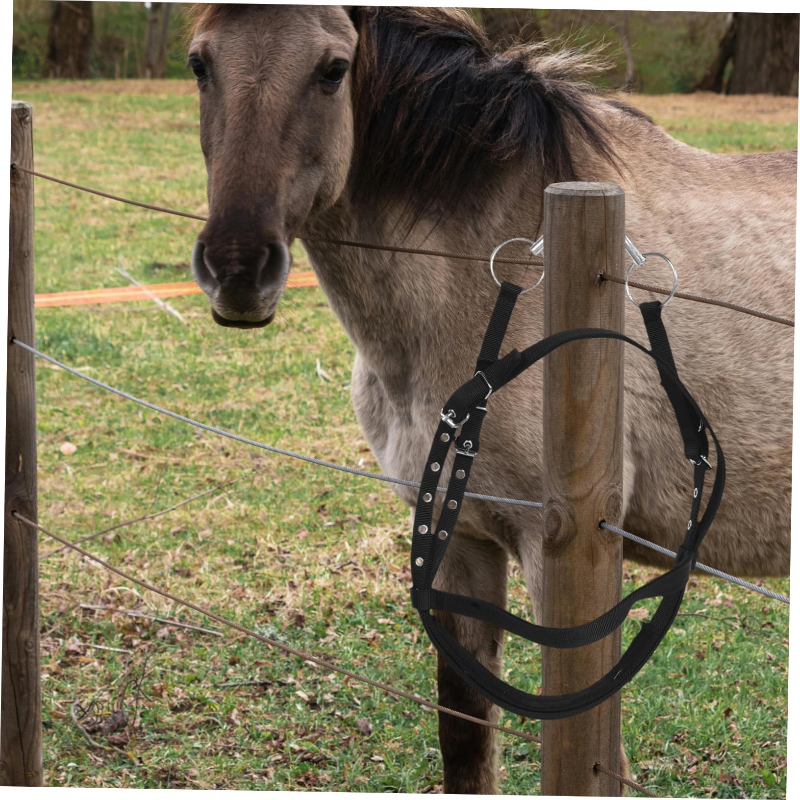 Cabestro de Cuerda para Caballos Grande de Nailon Negro | Entrenamiento y Equitación, Apto para Caballos de Tamaño Pequeño, Diseño Cómodo Antimordida