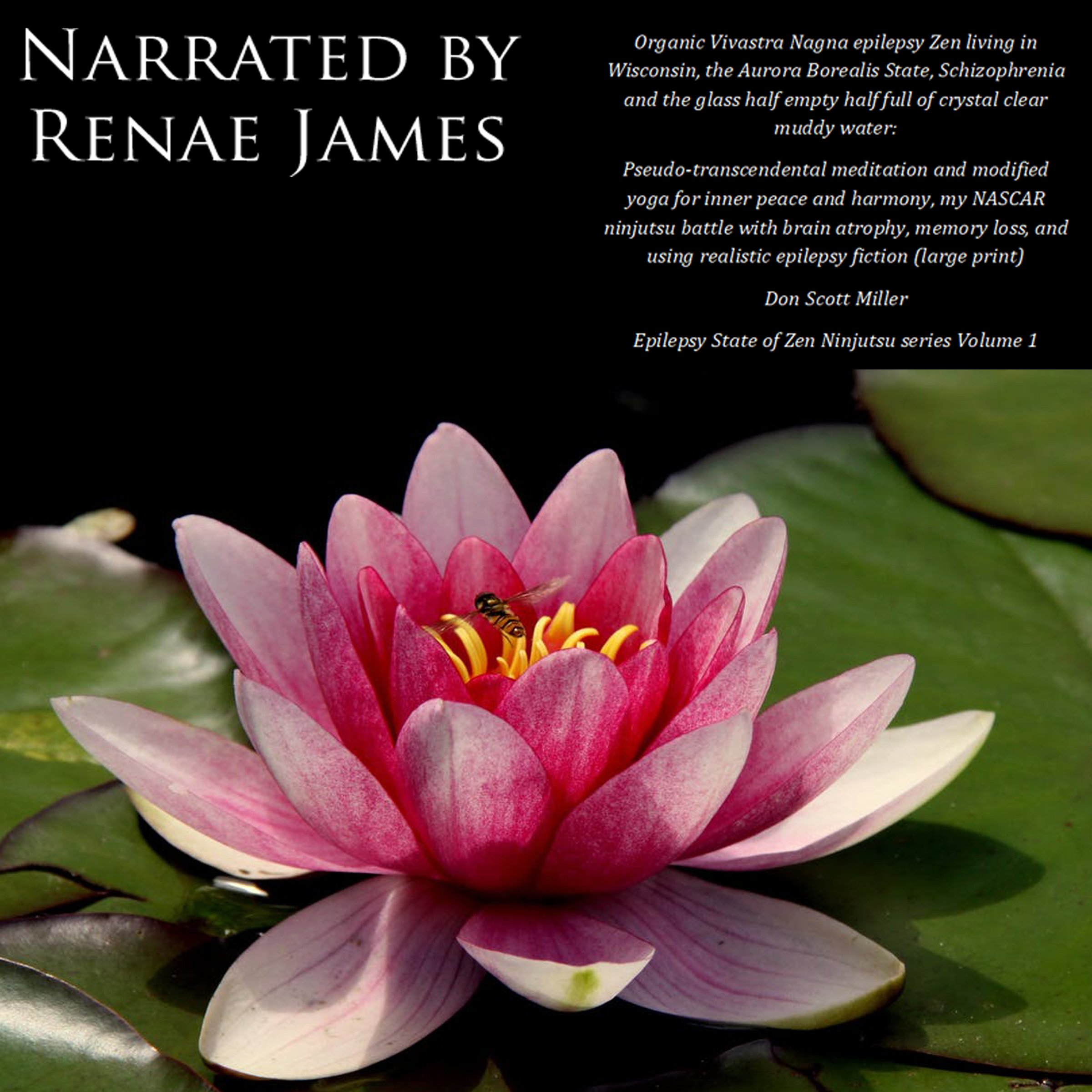 Organic Vivastra Nagna Epilepsy Zen Living in Wisconsin, the Aurora Borealis State, Schizophrenia and the Glass Half Empty Half Full of Crystal Clear