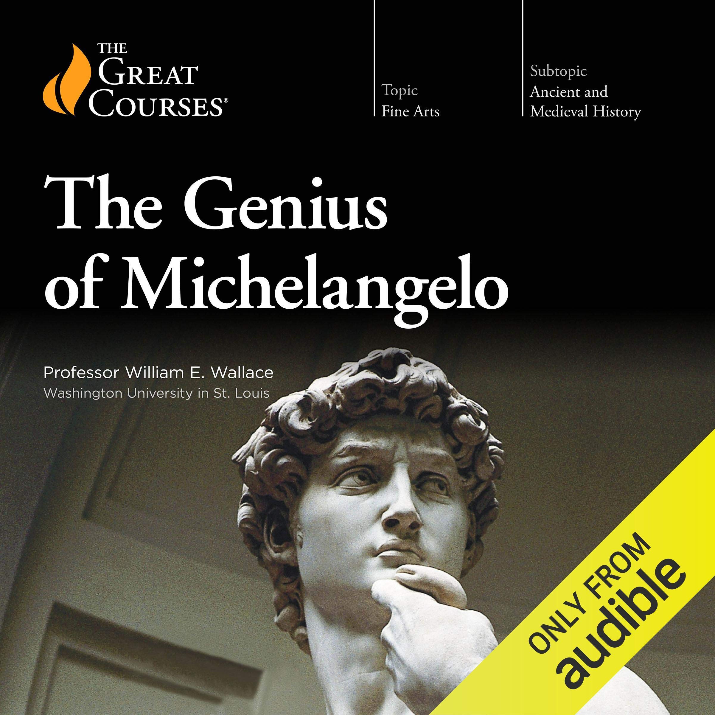Genius of Michelangelo