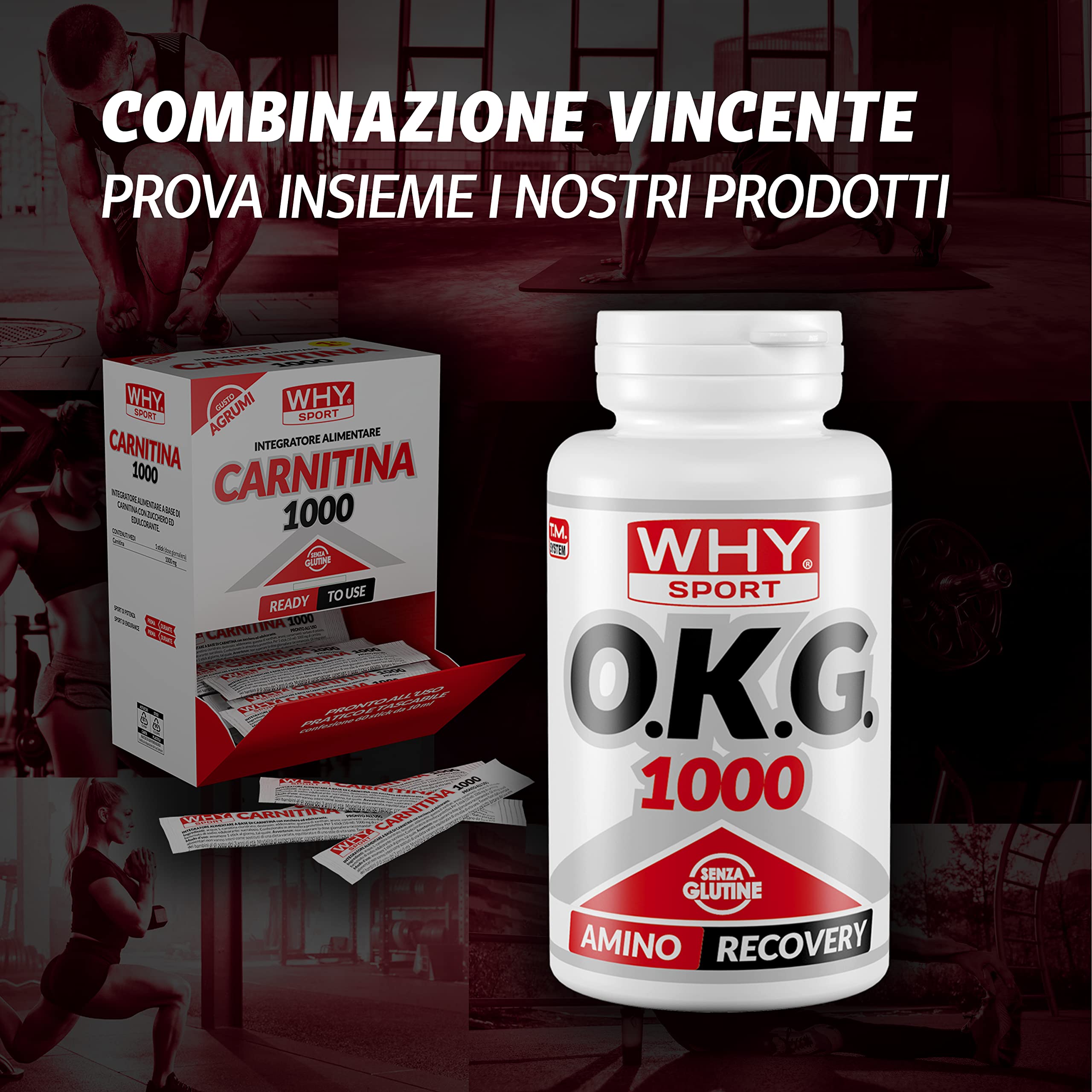 WHY SPORT CARNITINA 1000 - Integratore Alimentare Energetico a Base di L-carnitina – Gusto Agrumi – Box da 60 Sticks – 10 ml